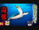 【2016年】ご馳走のはずの"ウミガメ"料理で40人が食中毒 うち8名が4亡…頭痛嘔吐高熱の地獄の症状に襲われた原因は「海藻」？【ゆっくり解説】