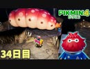 えっ？そんな狭い所で戦うんですか？　「ピクミン4」　＃34