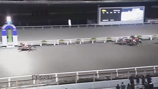2023年11月18日高知競馬10R 黒尊川特別(B-1組) ナムラボス