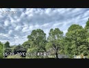 横浜家賃4万3千円36歳/大手ゼネコンを退職して自分らしく生きる