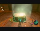 【Switch】リンクがゾナウとゼルダ探し旅【プレイ動画】part87