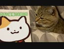 今年もやってきました