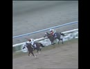 1989年　マイルチャンピオンシップ　オグリキャップ