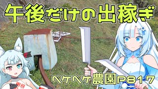 2023年11月18日　農作業日誌P817　出稼ぎ動画なのに、スターシップの打ち上げを見つつ動画作っていた模様