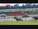UMAJO？競馬予想「2023マイルCS編」