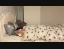 【贅肉ちゃん】すやすや眠る人を見守る枠。2023年11月13日
