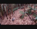 (狩猟解禁後の現状報告回)変態忍者の、有害鳥獣駆除従事活動記・その２６０