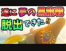 ついに黒龍戦を完全脱出できたけどティアキンが別ゲーに…！？(ver1.1.2以下？)【ティアキン TotK】裏技 バグ 検証 ゆっくり実況 glitch