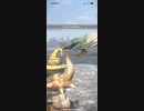 モンスターハンターNOW プケプケ