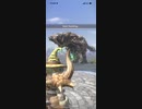 モンスターハンターNOW ボルボロス