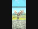 モンスターハンターNOW リオレウス　1