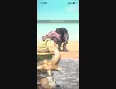 モンスターハンターNOW アンジャナフ