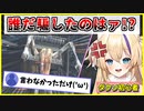 リスナーにまんまと騙されるダクソ初見プレイヤー【猫咲あんじ／個人V切り抜き】
