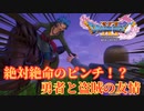 【ゲーム実況】【初見実況】そういや追われてたな…！？思い出して慌てまくる実況プレイパート11【ドラクエ11】