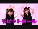 【るはるは×ここあ】ラビットホール【踊ってみた】