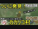 ついに発見カカリコ村【ゼルダの伝説 ブレス オブ ザ ワイルド】PART 14