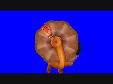 新井式回転抽選拓也