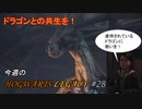 【ホグワーツレガシー】今週のHOWGWARTS LEGACY #28