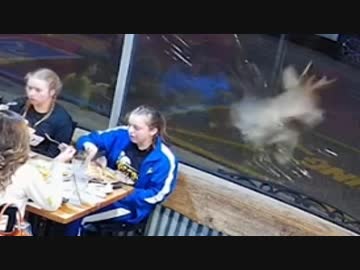 ホモと見るレストランにいきなり乱入してくる鹿