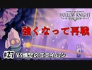 レーザーが2ダメージは分かる、お前自身が２ダメージはおかしい（VS憤怒のゴエイムシ）　[Hollow Knight]