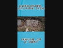 2013年のmRNA実験：20万人中9年後、5人生存