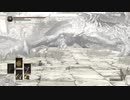 【ダークソウル3】ハベル撃破！？【24-6回目】