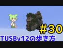 【Minecraft】TUSBv12の歩き方＃30【VOICEVOX実況】