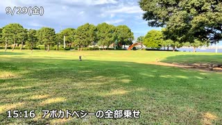 横浜家賃4万3千円36歳/大手ゼネコンを退職して自分らしく生きる 【かわたんvlog】