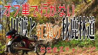 【ななまる日記】オフ車で行かない　川渡りと秋の林道ツーリング秋鹿大影線編