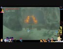 ⌘プレイアーカイブ⌘ ハイラルソード その265