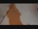 シケキノコ 2023/11/20(月) 16:35開始 ^^hello welcome to mush room~しわしわきのこの哀愁放送~＾＾