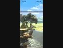プケプケ