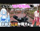 【VOICEROID車載】ピレンとついなちゃん - 京都で紅葉が見てぇ【SVARTPILEN401】