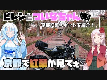 【VOICEROID車載】ピレンとついなちゃん - 京都で紅葉が見てぇ【SVARTPILEN401】