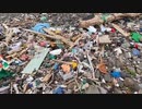 chinaゴミ・環境・マナー・文化など纏め動画