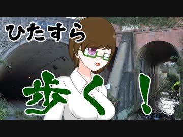 【近鉄吉野線】吉野の入口で体力づくりウォーキング！