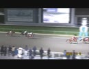 2023年11月21日盛岡競馬10R ＬＪＳ盛岡ラウンド第１戦(C1) ジェイエルバルカー