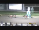 2023年11月21日盛岡競馬11R ＬＪＳ盛岡ラウンド第２戦(C1) ロワマージュ