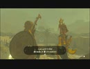 【ゼルダの伝説 ティアーズ オブ ザ キングダム】再びハイラルを救うまで【実況】 part162