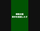 【 #フクロモモンガ 】求愛行動や毛づくろいによる怪我！ #おはモモンガ #モモンガ  #shorts #sugerglider #animal #pet #ペット #動物 #小動物 #ムササビ