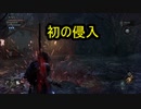 侵入【Lords of the Fallen ロード オブ ザ フォールン】