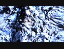 トウチュウカソウ-【カラカラ】- 青木祥雅 & 青木友里 & 初音ミク(V4X) - official music video