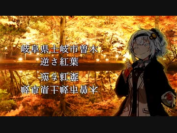 【紲星あかり】曽木公園の逆さ紅葉【A.I.Voice】