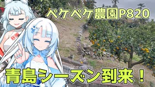 2023年11月21日　農作業日誌P820　出稼ぎ先は青島のしゅうかくシーズンへと入った模様