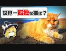 世界一孤独な猫はホッキョクギツネ！？　猫に関するQ&Aまとめ【海外の気になるQ&A】