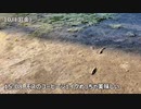 横浜家賃4万3千円36歳/大手ゼネコンを退職して自分らしく生きる 【かわたんvlog】