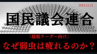 「超越リーダー向け」なぜ弱虫は疲れるのか？　ラジオ版れいわニュースシフト2023.11.21