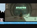 【生放送アーカイブ】うわっ、私の戦闘下手すぎ？って感じのティアキン生放送2回目【9/10】