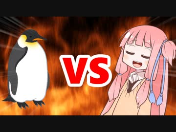 茜ちゃんVSペンギン