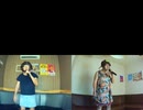 揺れる想い／ZARD